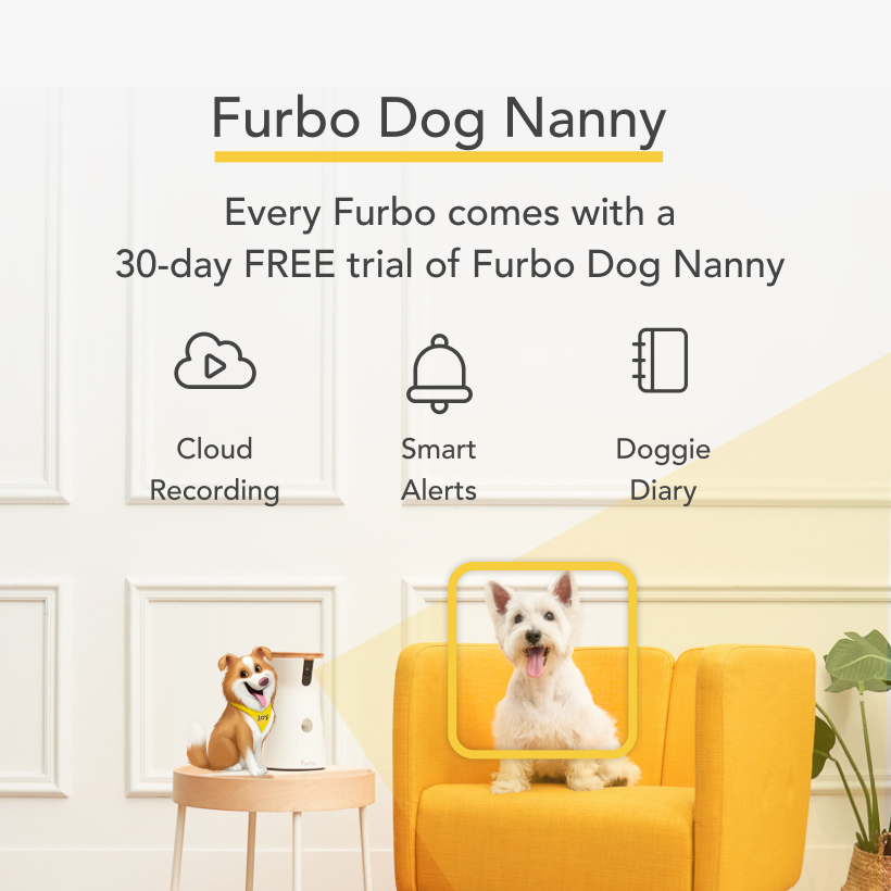 Furbo 360 Dog Camera Treat Tossing Pet Camera with HD